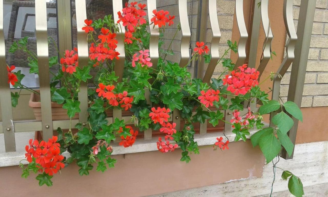 Villa Lucia Affitta Camere Formia Zewnętrze zdjęcie